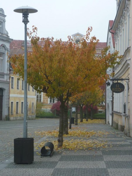 P1030021