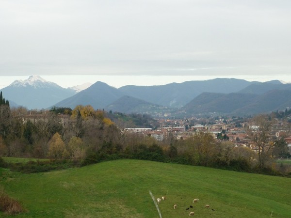 P1040945