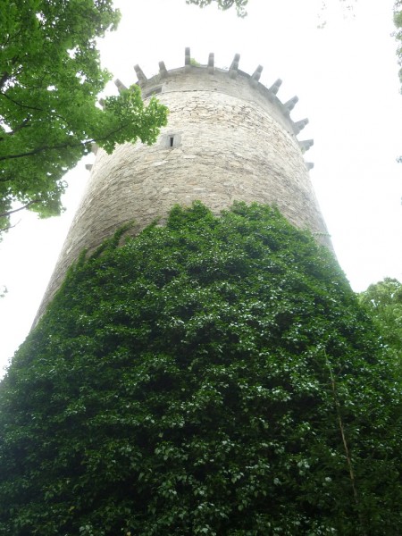 P1040299