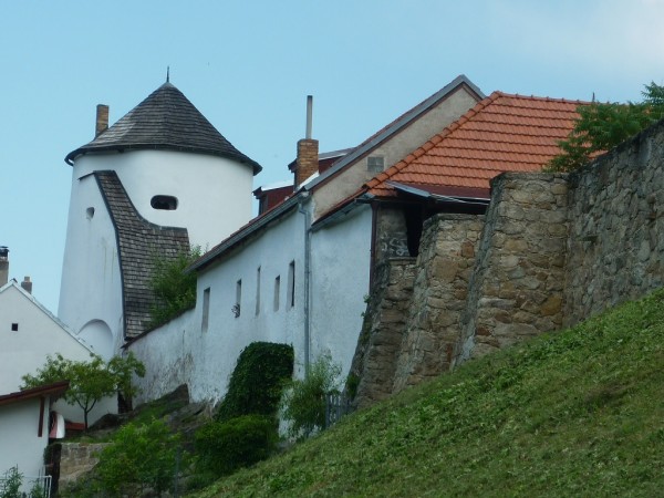 P1040202